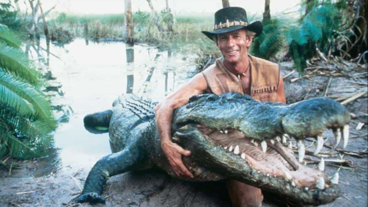 Classic film sequels are they really that bad? Film Stories