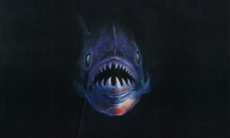 Piranha