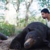 Cocaine Bear