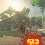 zelda cooking