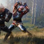 witcher multiplayer