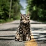 Pet Semetary
