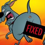 Fixed Warner