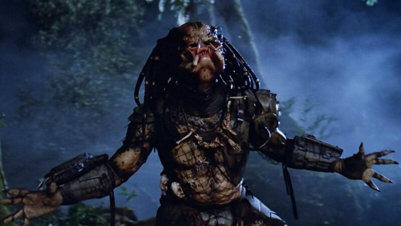 predator