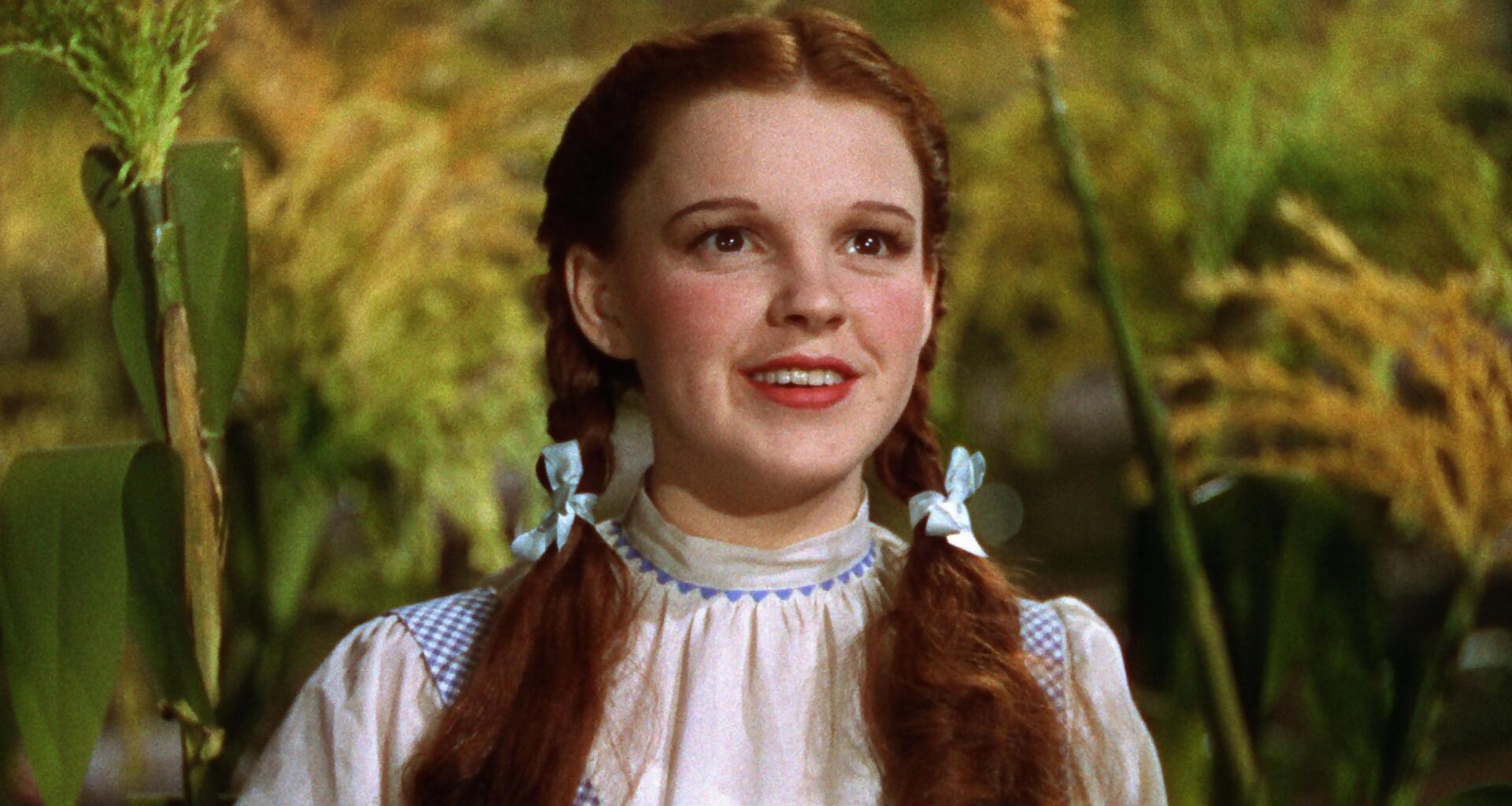 the wizard of oz dorothy (1)