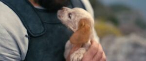 the odyssey trailer puppy