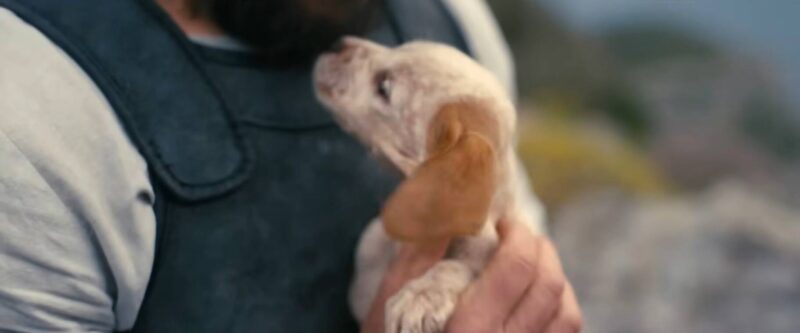 the odyssey trailer puppy