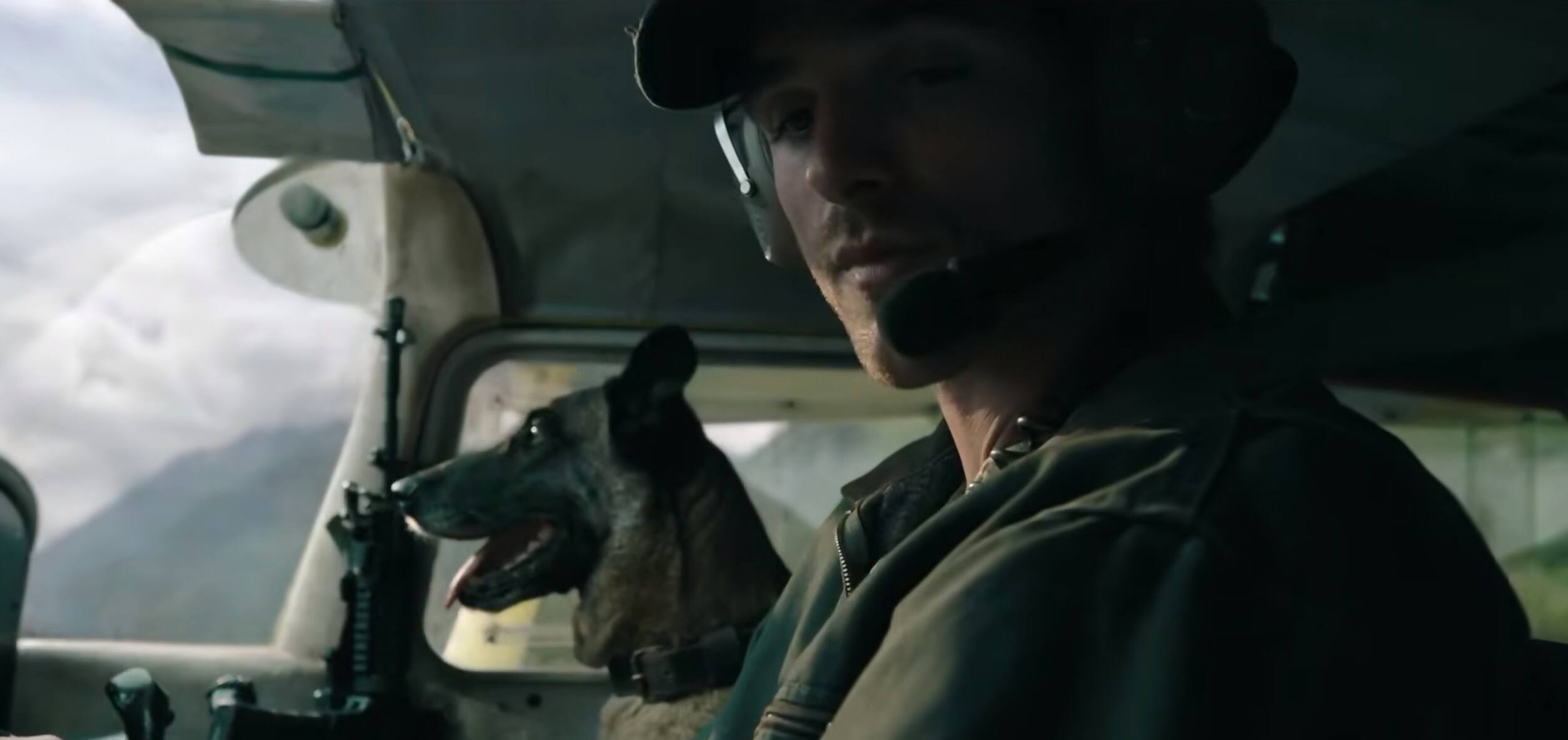 the dog stars