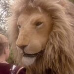 The Lion, The Witch And The Wardrobe on the BBC.