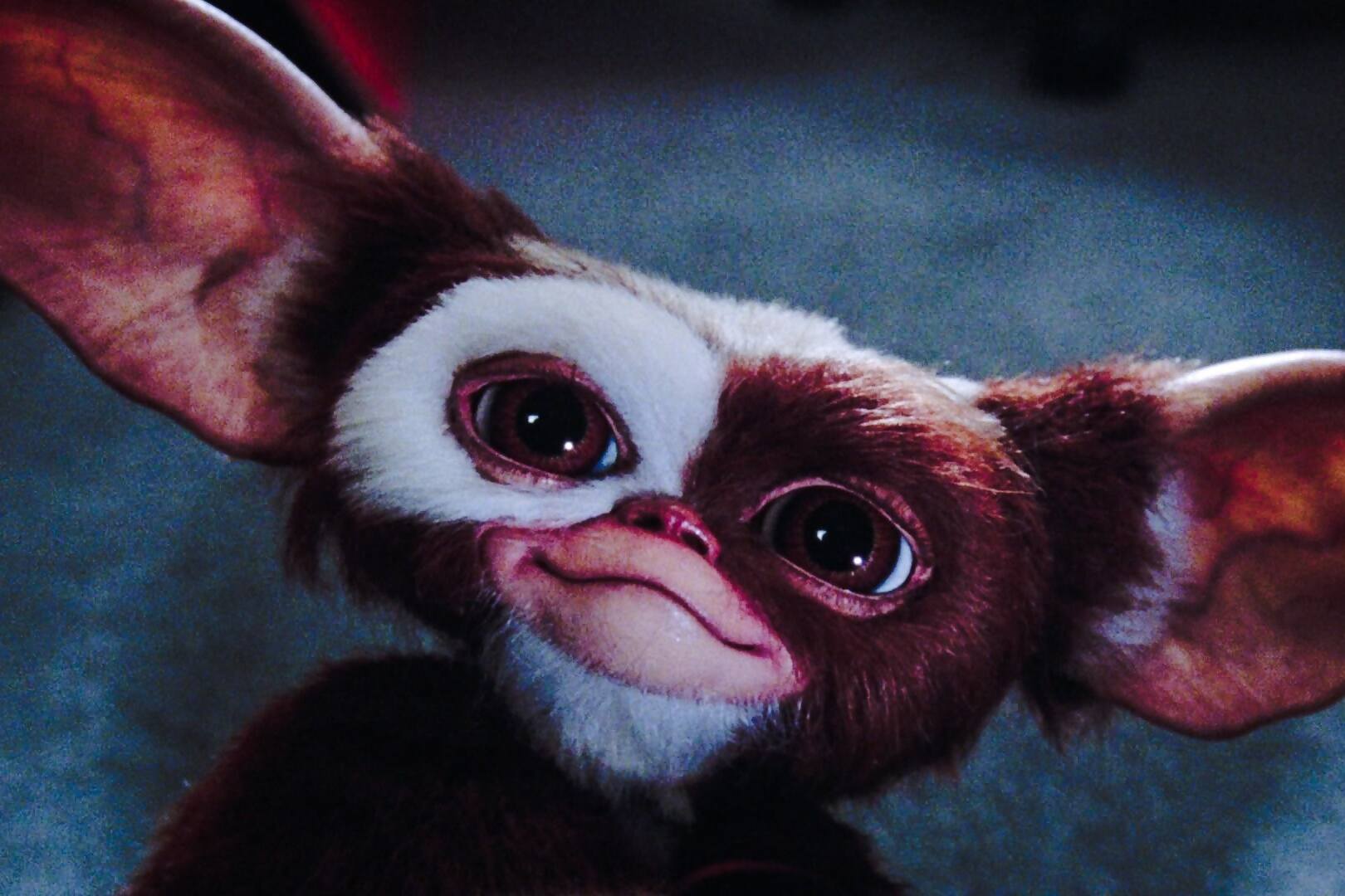 Gremlins 2 | Before Grogu, there was Gizmo, and some of the most elaborate puppetry ever committed to film