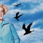 the birds