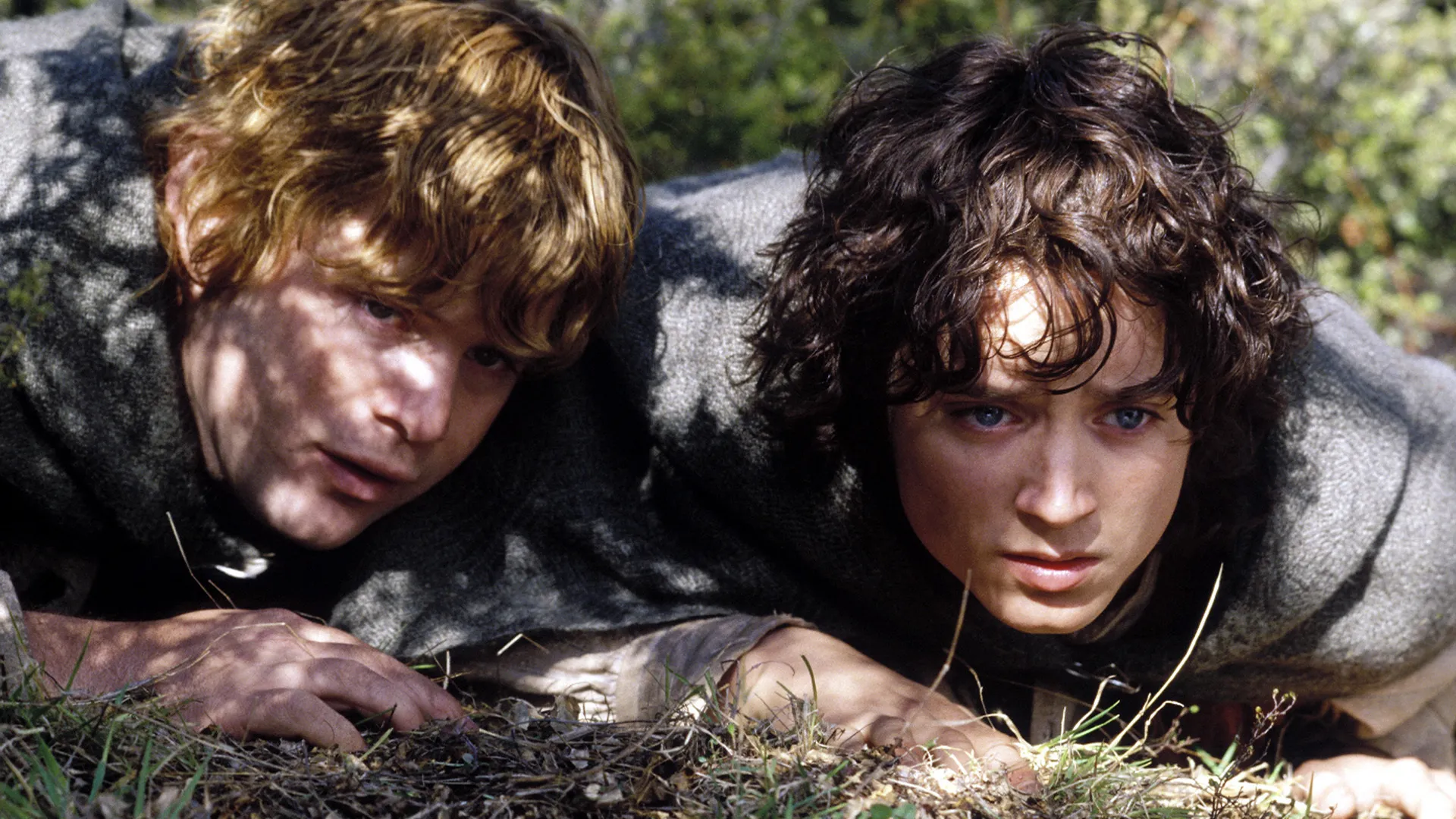 lord of the rings sam frodo