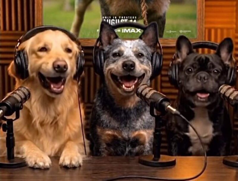 The End Of Oak Street | Warner Bros promotes its $85m dinosaur movie with AI dog podcast